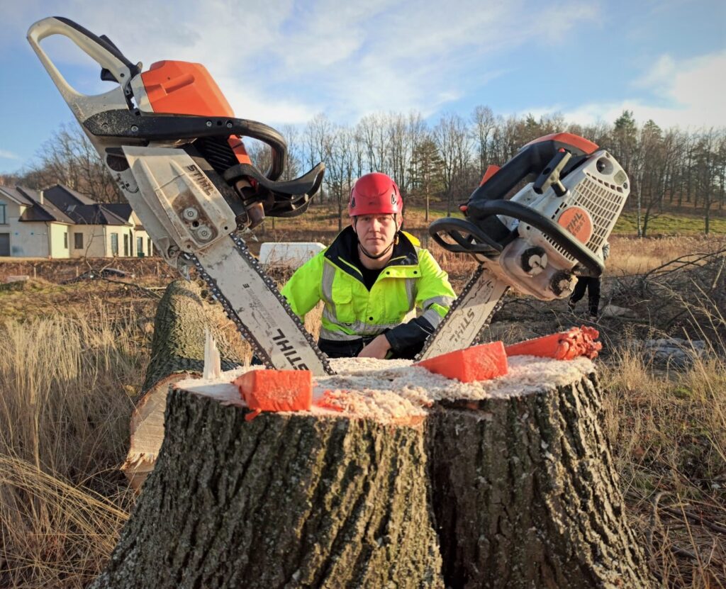 profesjonalna ścinka i pielęgnacja drzew