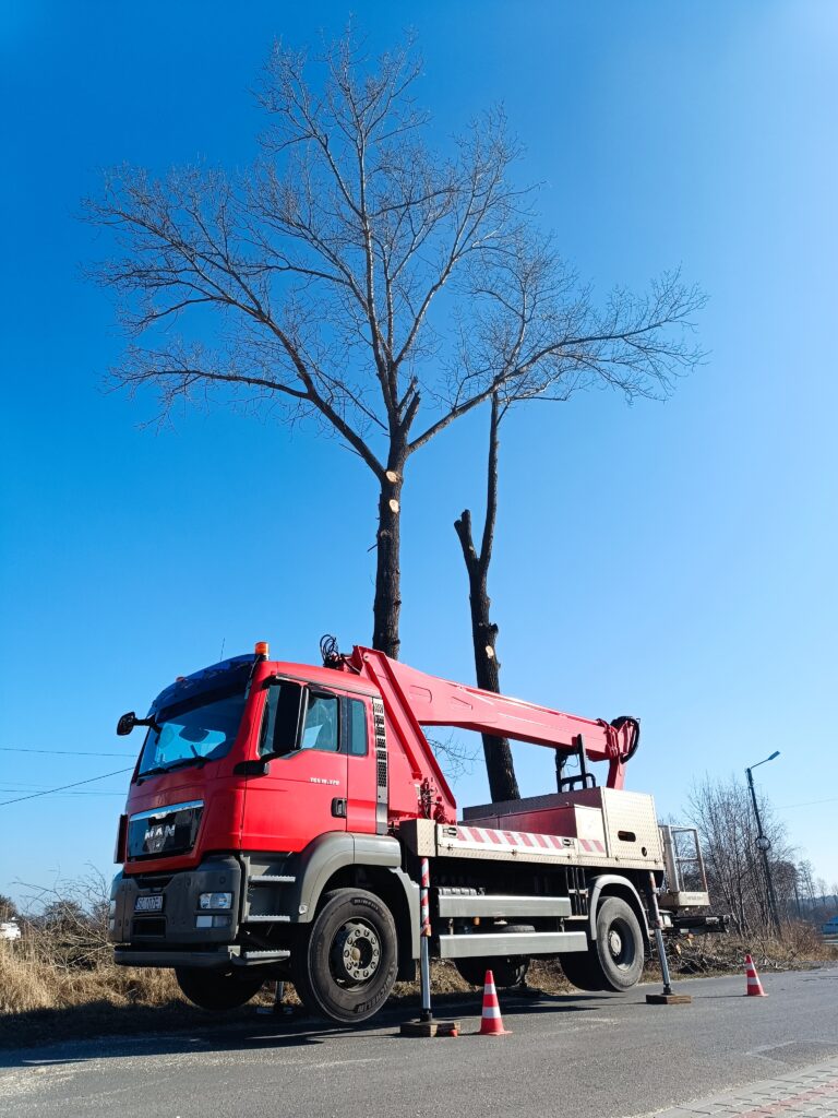 Zwyżka koszowa przy wycince dwóch wysokich topoli – okolice Rzeszowa, zagrożenie energetyczne